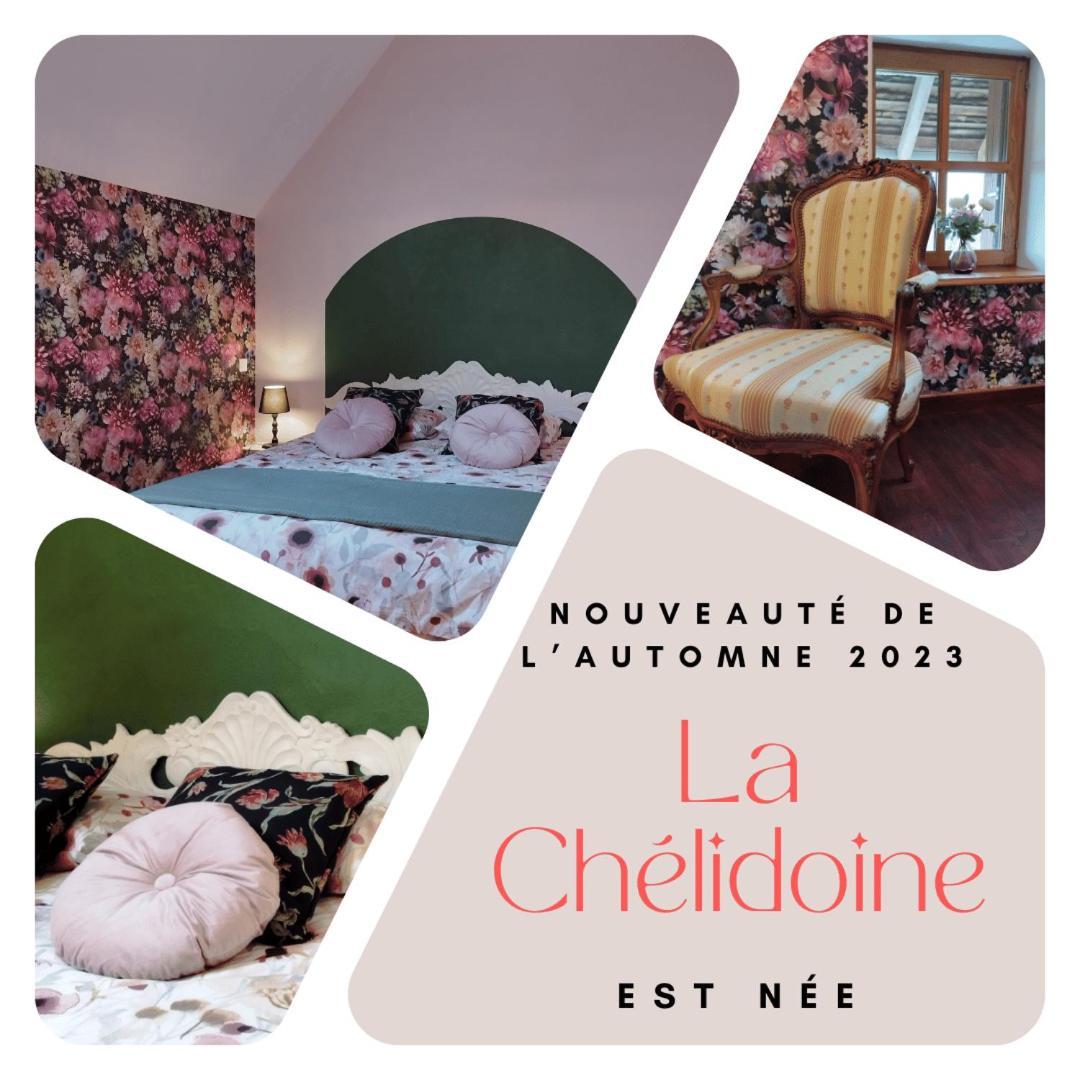 Bed and Breakfast La Baudiniere, Chambre "La Chelidoine", Boyer Екстер'єр фото